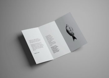 Trifold Brochure Mockup Free