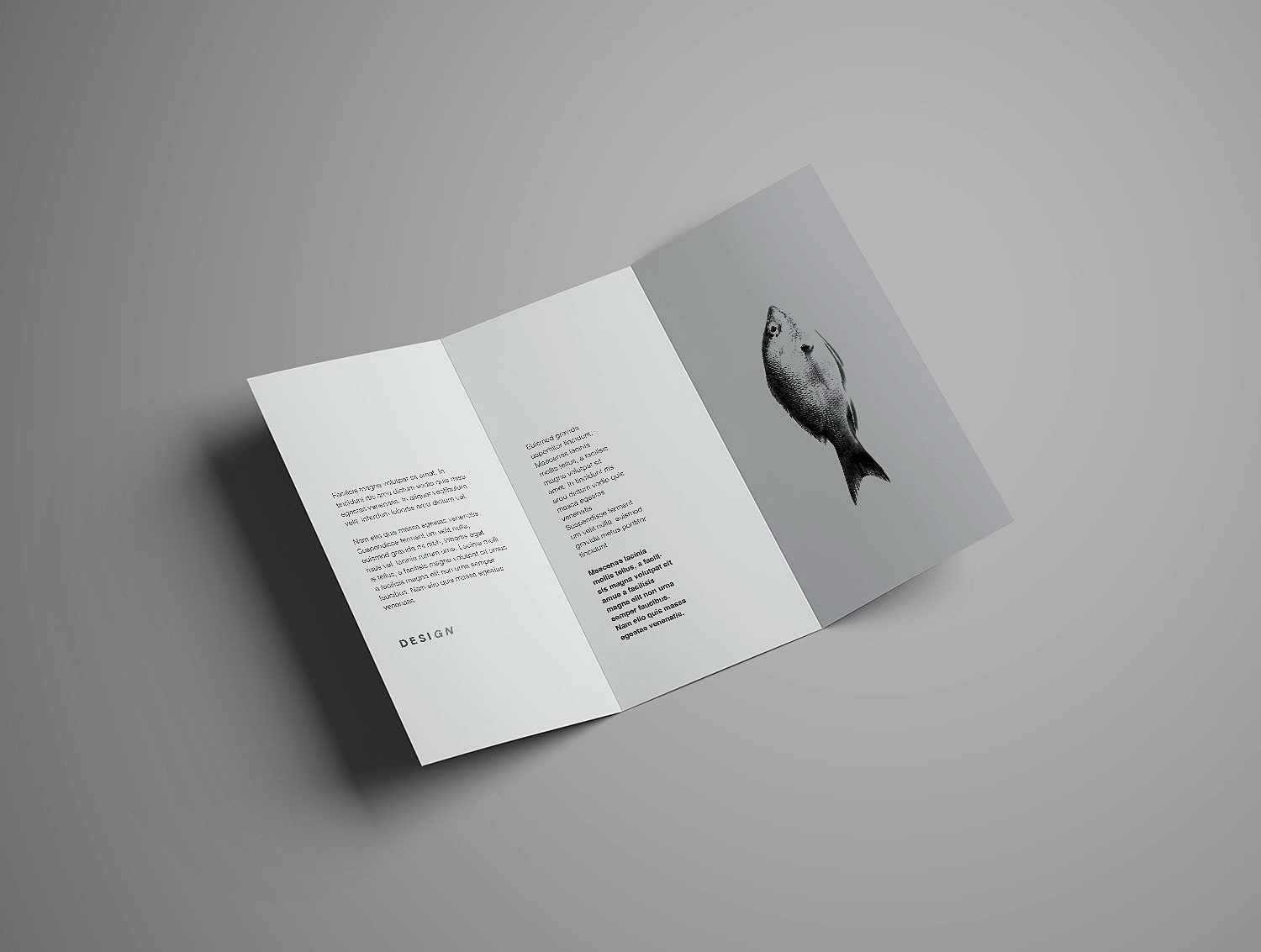 Trifold Brochure Mockup Free