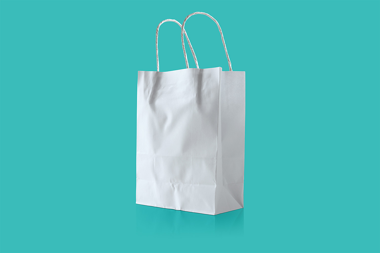 Thermo Bag Mockup