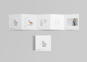 Square 5 Fold Accordion Brochure Mockup