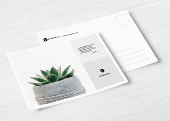 Free Postcard Mockup Set