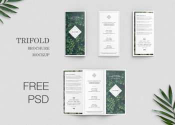 Free Trifold Brochure Mockup