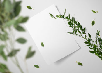 Floral Letterhead Mockup Free Scene