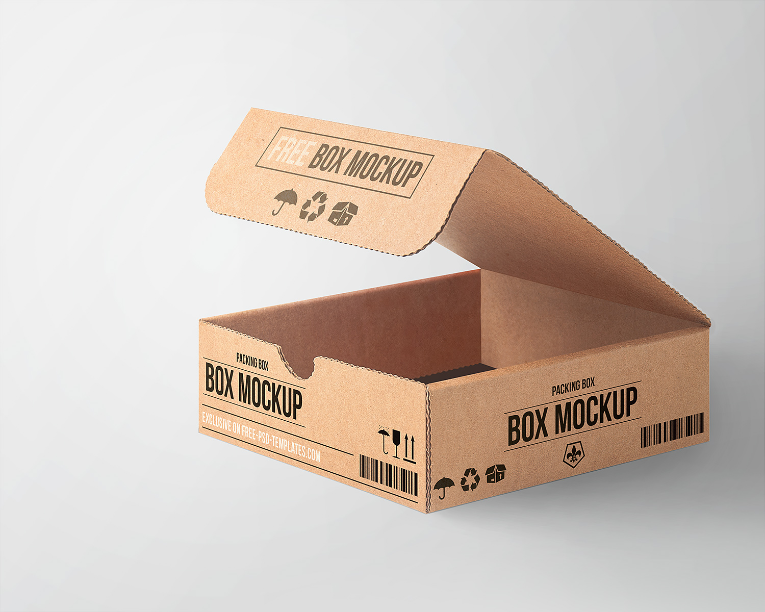 Free Cardboard Box Mockup