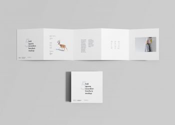 Five-Fold Square Accordion Brochure Mockup