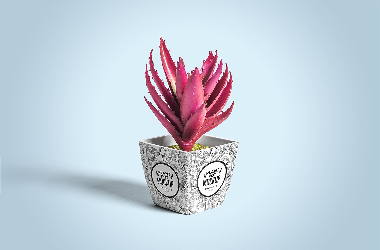 Free Plant Pot Mockup