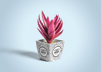 Free Plant Pot Mockup