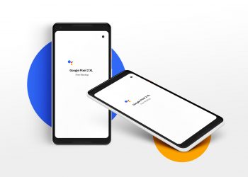 Google Pixel 2 XL Free PSD Mockup