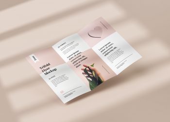 Tri-Fold DL Flyer Free Mockup