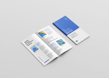 Saddle-Stitched DL Brochure Free Mockup