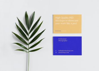 Business Card with Leaf Free Mockup