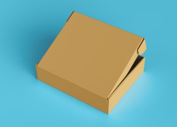 Half Open Cardboard Box Free Mockup